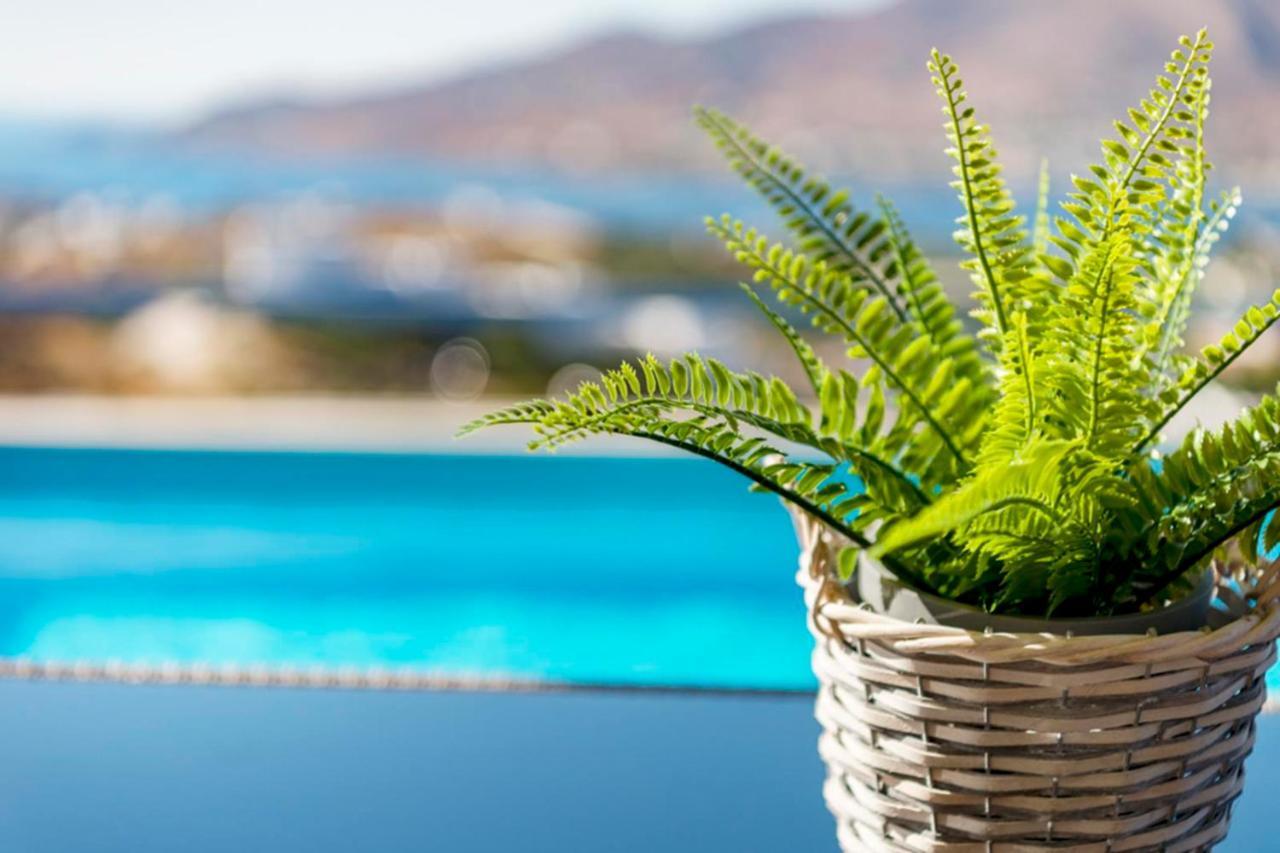Oceania House With Sea View Villa Posidhonía Dış mekan fotoğraf